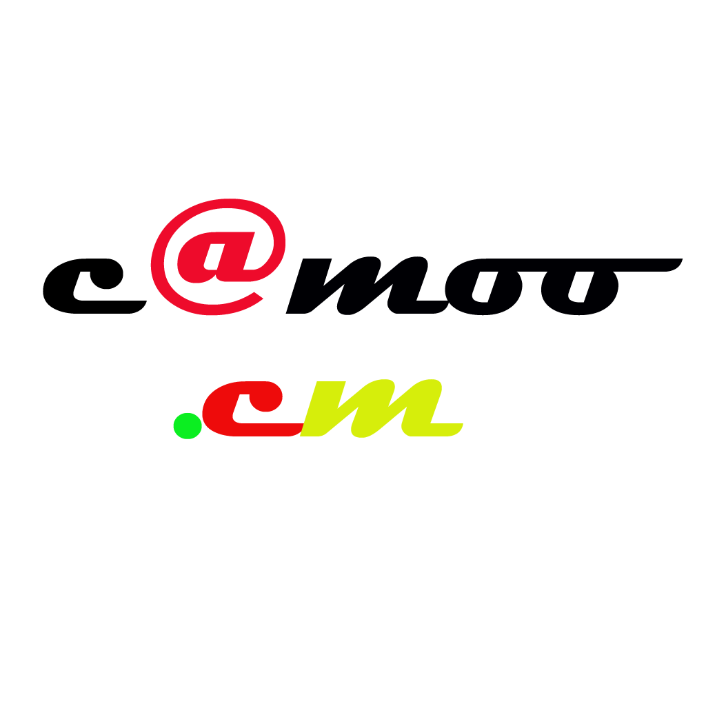 Connexion au compte Camoo : Envoi de SMS et E-mail Pro